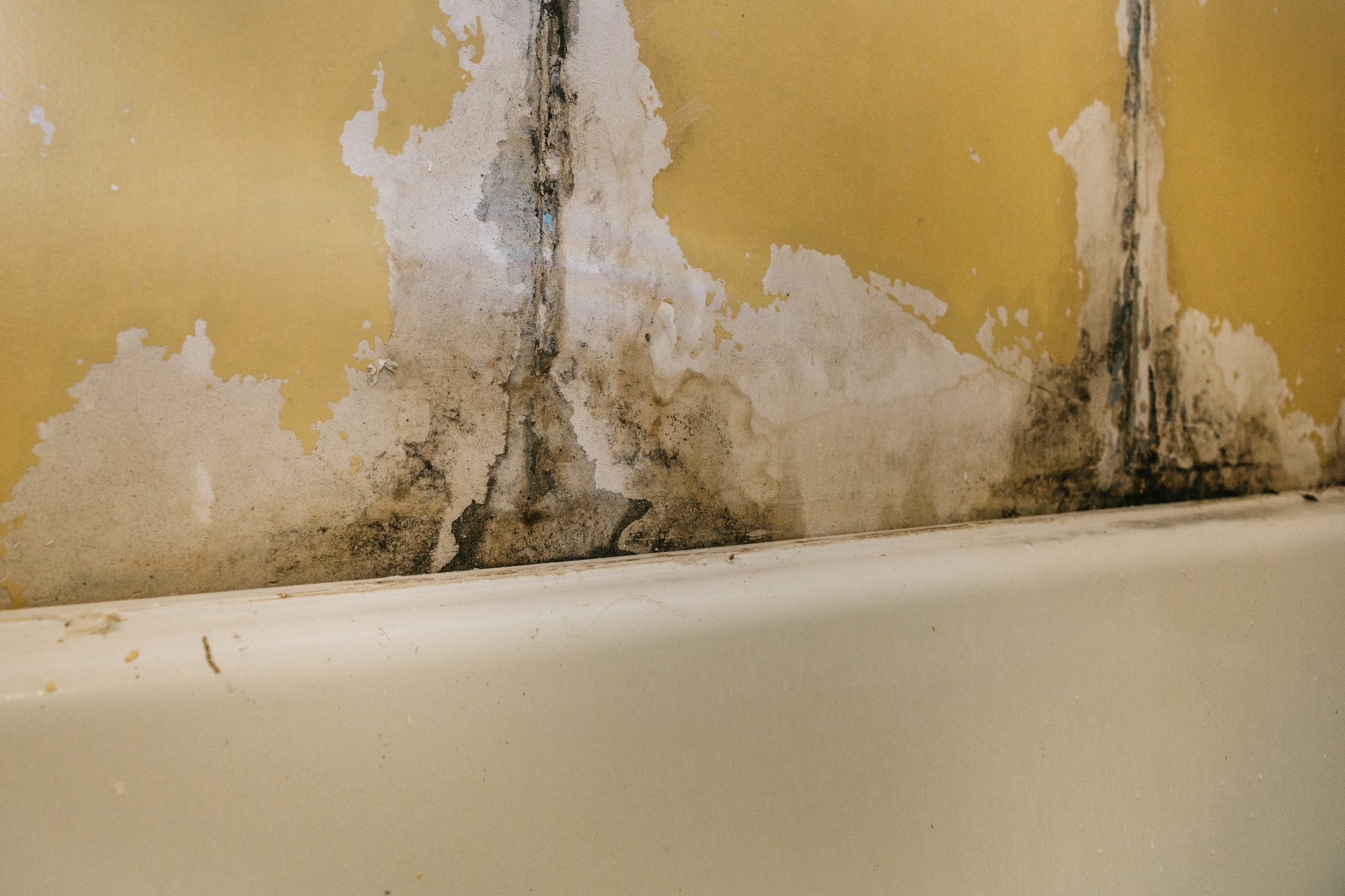 Mold growth on wall due to water damage
