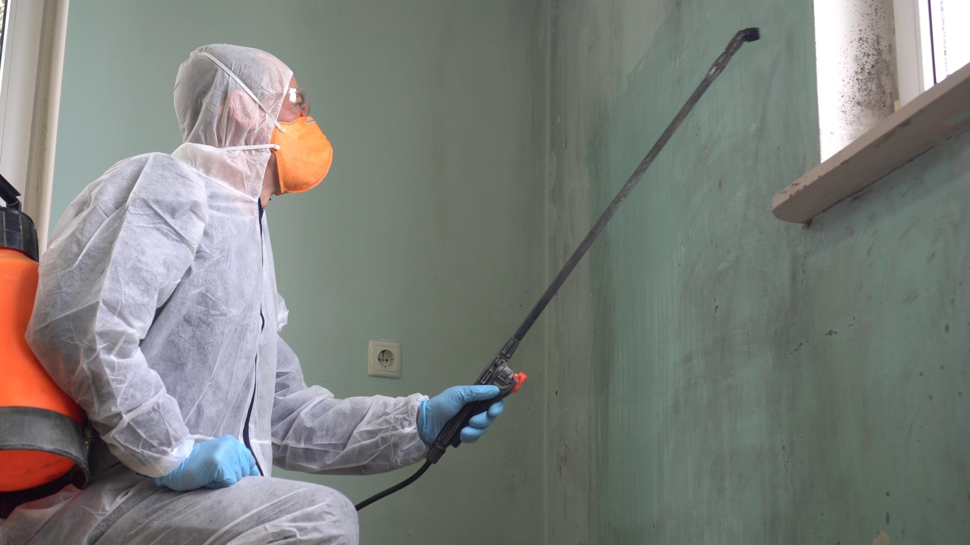 mold removal expert spraying walls